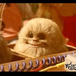 hugolaz55555 Photo