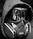 Wesk Photo