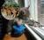 catsniper Photo