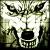 wolfy Photo
