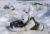 txi64 Photo