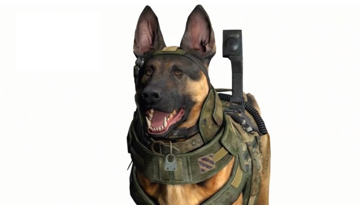 Waouf
